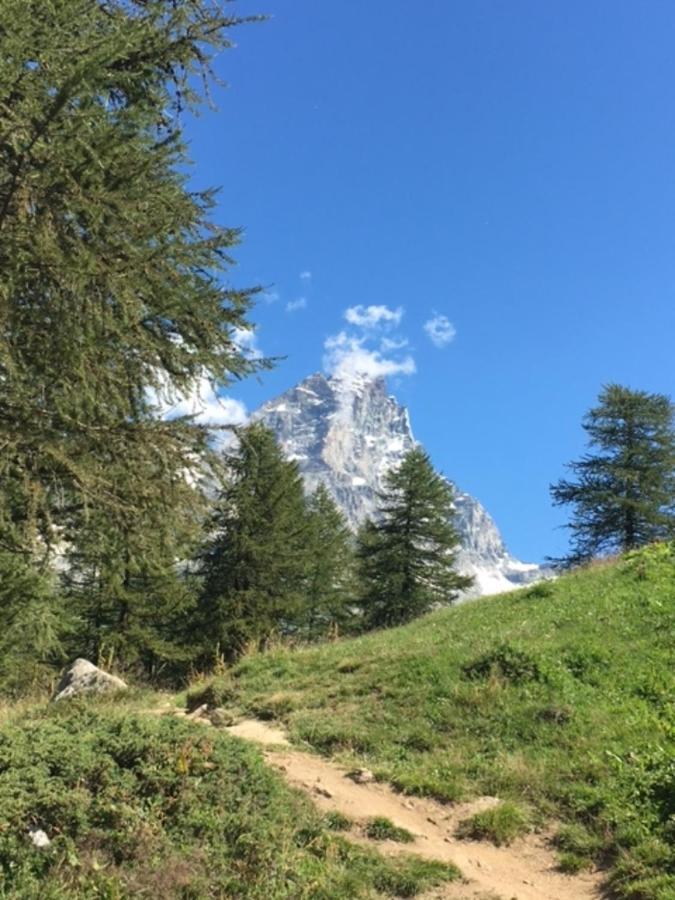 Casa Cervinia Circus Lejlighed Breuil-Cervinia Eksteriør billede