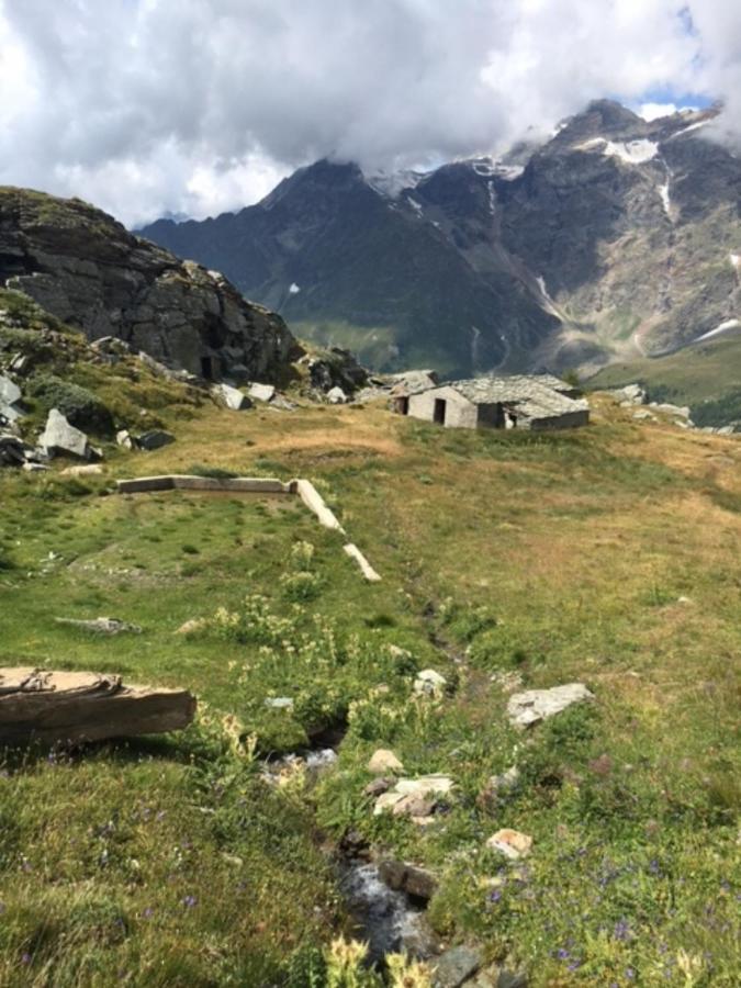 Casa Cervinia Circus Lejlighed Breuil-Cervinia Eksteriør billede