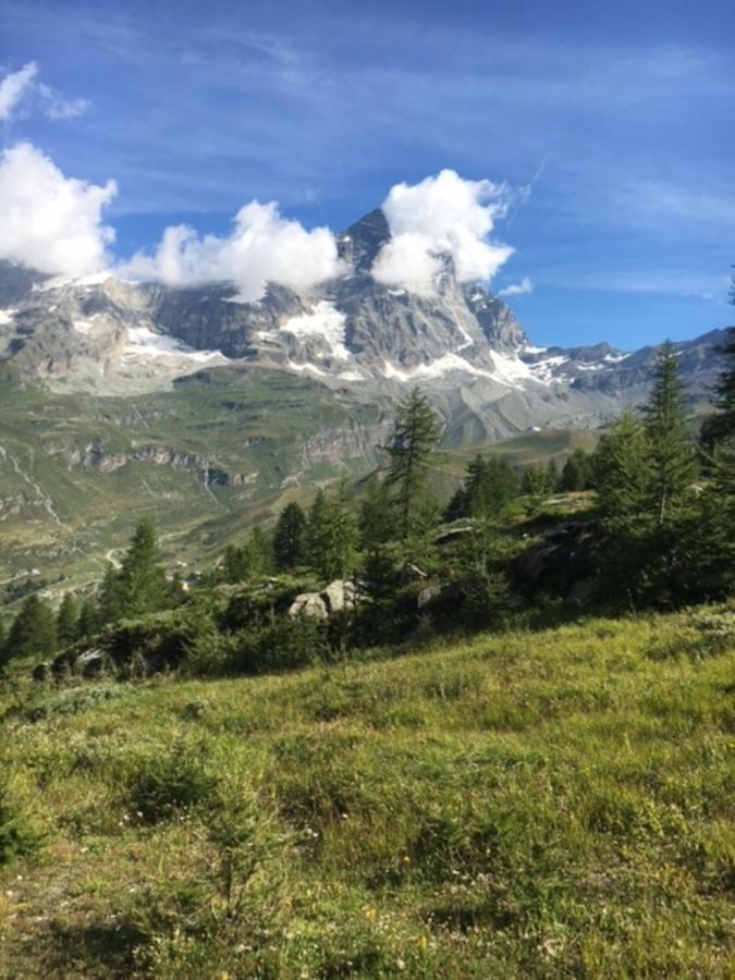 Casa Cervinia Circus Lejlighed Breuil-Cervinia Eksteriør billede